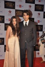 Mrinalini Sharma at Big Star Awards red carpet in Andheri, Mumbai on 18th Dec 2013